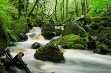 river running through padley gorge- explore 17062012.jpg